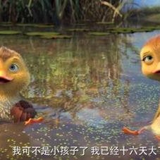 鸭子国产视频,鸭子的趣味生活大揭秘